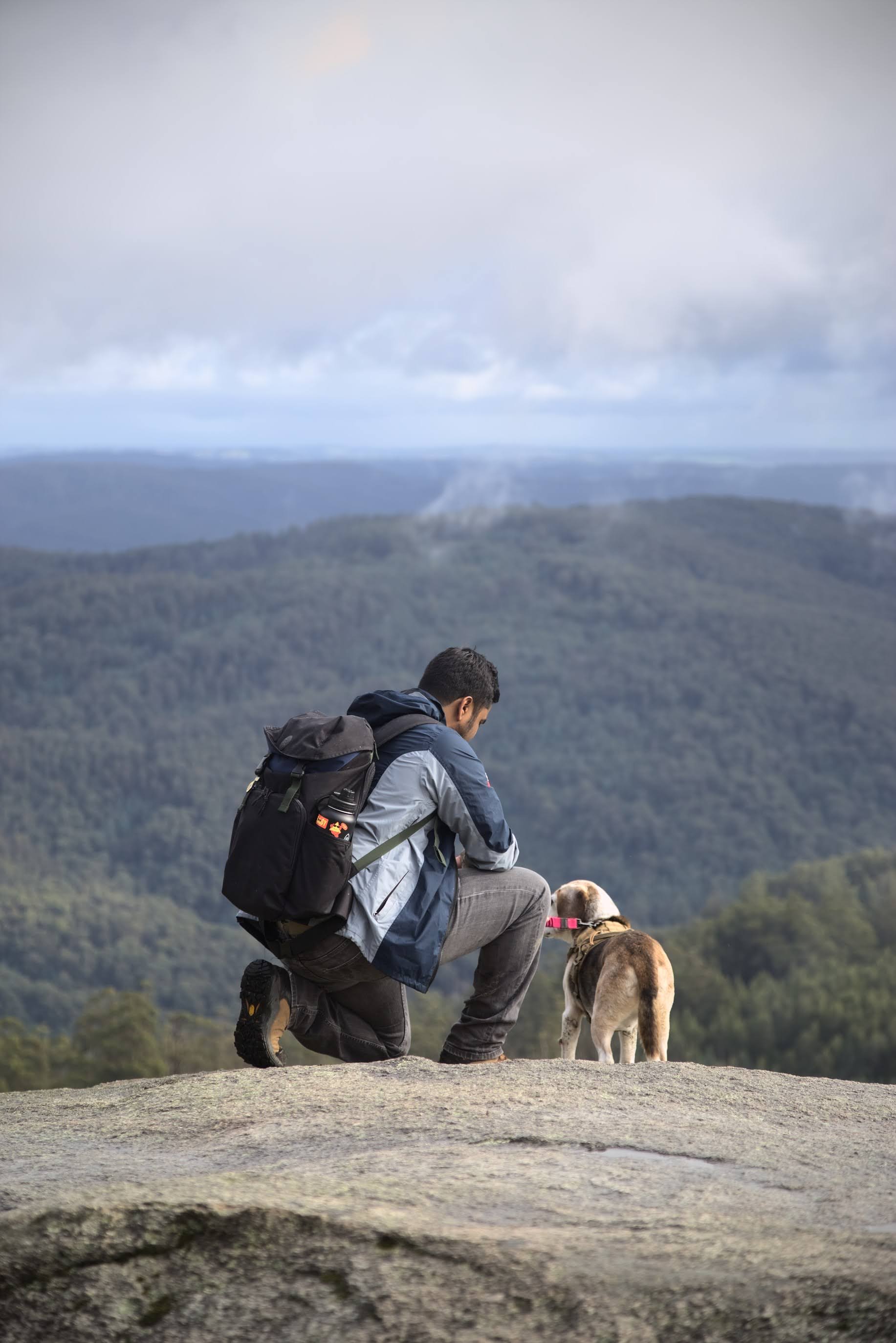 A photograph of me and Nitro, my dog, on a hike. We're facing away from the camera, atop a big rock seen in the foreground. In the background is a nice landscape of grassy mountains and misty skies, with a slight bokeh effect. Photograph by Rex Rh0vs.